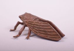 A JAPANESE BRONZE MODEL OF A CICADA, 5cm long.