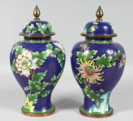 A PAIR OF CHINESE BLUE GROUND CLOISONNE URNS AND COVERS, decorated with birds, butterflies, and
