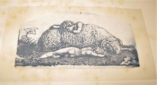 COLVIN (Sidney) Children in Italian and English Design, sm. 4to, 12 mounted photographs of art by