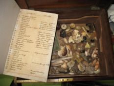 PRIVATE MUSEUM of SHELLS, MINERALS, etc., contained in a mahogany box with trays (1 tray full), with