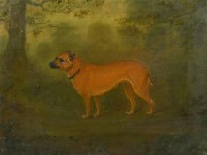 19th/20th Century School, A study of a terrier, oil on canvas, 12.5