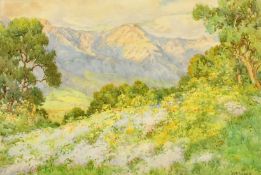 Hilda Mary Sides (19th/20th Century), wildflowers in a mountain landscape, watercolour, signed,