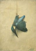Reyna, Circa 1936, Continental School, a study of a dead kingfisher, oil on canvas laid down,