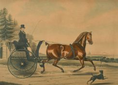 Reeve after Francis Calcraft Turner, 'Artaxerxes, Aged 12 Years', colour print, 19.5