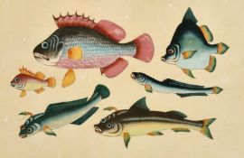 Two Chinese rice paper paintings, one of fish, 7.25