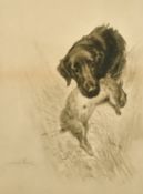 Maud Earl, a flat-coated retriever with a rabbit in its mouth, photogravure, 13.5