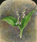 Circle of John Ruskin, A study of the Lily of the valley, other plants and a Bullfinch,
