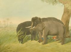 After Samuel Howett and Captain Thomas Williamson, by H. Merke, hand-coloured stipple engravings