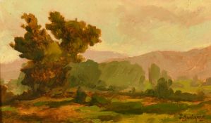 20th Century Chilean School, a hillside landscape, oil on canvas, indistinctly signed, with stamp
