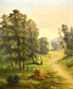 Ada Stone (19th Century), a woodland river, oil on canvas, signed, 20