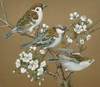 Circle of Ralston Gudgeon, Sparrows on a branch of apple blossom, initialled M.W, 6
