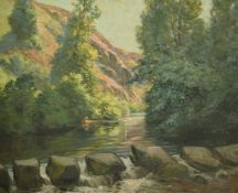 Early 20th Century French School, a view of a river running through a gauge, oil on canvas,