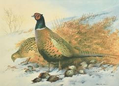 A pair of limited edition Thorburn prints of game birds, 11