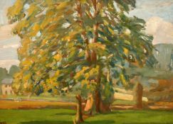John Brown, Study of a tree in a Summer landscape, oil on board, signed with initials, 10