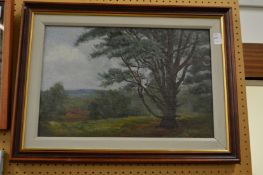 A rural landscape, oil on canvas.