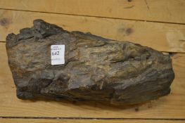 A large fossilized piece of wood.