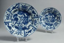 A PAIR OF CHINESE BLUE AND WHITE PORCELAIN PLATES, decorated with flora and fauna, 21.5cm diameter.