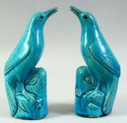 A PAIR OF CHINESE TURQUOISE GLAZE FIGURES OF BIRDS, 21.5cm high.