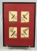 A SET OF FOUR FRAMED INDIAN COMPANY SCHOOL PAINTINGS OF BIRDS ON MICA, framed and glazed together,