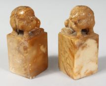 A PAIR OF CHINESE SOAPSTONE BLANK SEALS, the tops carved with Foo dogs. 8cm high