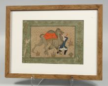 A PERSIAN SAFAVID MINIATURE PAINTING ON PAPER, depicting a man with a camel and further decorated