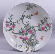 A LARGE CHINESE FAMILLE ROSE PORCELAIN PEACH DISH, painted with peach blossom and bats, with six