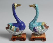 A PAIR OF CHINESE CLOISONNE MODELS OF GEESE on wooden stands. 15cm high