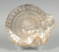 A RARE 18TH/19TH CENTURY INDIAN MOTHER OF PEARL SHELL, with engraved circle and dot pattern, 18.