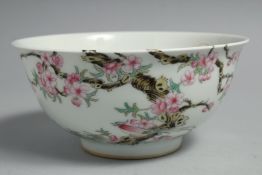 A CHINESE FAMILLE ROSE PORCELAIN BOWL, the interior and exterior both decorated with cherry blossom,