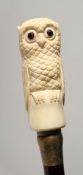 A BONE HANDLED WALKING STICK CARVED AS AN OWL. 35ins long.