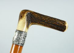 A GOOD VICTORIAN WALKING STICK with bone handle and silver band. London 1896, 35ins long.