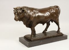 A LARGE BRONZE BULL on a rectangular marble base. 19ins long.