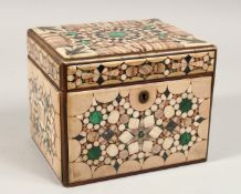 A VERY GOOD 19TH CENTURY MARBLE INLAID BOX AND COVER inset with specimen marbles. 6.5ins long,