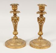 A GOOD PAIR OF LOUIS XVI ORMOLU CANDLESTICKS on circular bases. 9ins high.