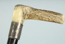 A GOOD VICTORIAN WALKING STICK with bone handle and silver band. Birmingham 1893, 35ins long.