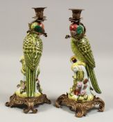 A LARGE PAIR OF PORCELAIN ORMOLU MOUNTED PARROT CANDLESTICKS. 14ins high.