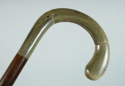 A VICTORIAN WALKING STICK with Rhino handle with plated band. 35ins long.