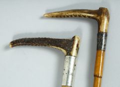 TWO VICTORIAN CANE RIDING CROPS with bone handles and silver band. 17ins and 23ins long.