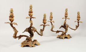 A PAIR OF FRENCH ORMOLU THREE LIGHT CANDLESTICKS with acanthus scrolls. 12ins high.
