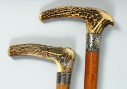 TWO GOOD VICTORIAN WALKING STICKS with bone handles and silver bands. 35ins long.