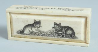 A BONE RECTANGULAR DICE BOX AND DICE, the top with two cats. 4ins long.