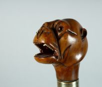 A GOOD RUSTIC CANE with carved Bull dog handle. 35ins long.