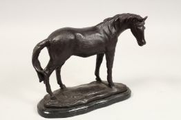 A BRONZE HORSE on a shaped marble base. 10ins long.