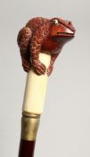 A BONE HANDLED WALKING STICK CARVED AS A TOAD. 35ins long