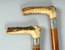 TWO GOOD VICTORIAN WALKING STICKS with bone handles and silver bands. 35ins long.