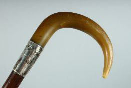 A VICTORIAN WALKING STICK with Rhino handle and silver band. 36ins long.