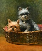 Early 20th Century, Terriers in a basket, oil on canvas, 22
