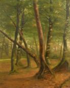 19th Century French School, a study of trees in a woodland glade, oil on mahogany panel, 18