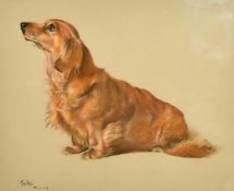 Phyllis Binet, (20th Century) A study of a long-haired Dachshund, 'Tralia', pastel, inscribed,