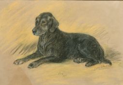 Lucy Dawson (1875-1954) British, Study of a black Labrador Roy, pastel, inscribed, signed, and dated